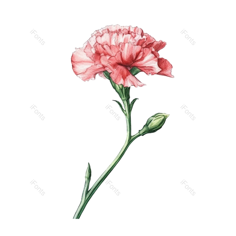 母亲节背景图片,母亲节素材元素,矢量元素PNG,免抠素材